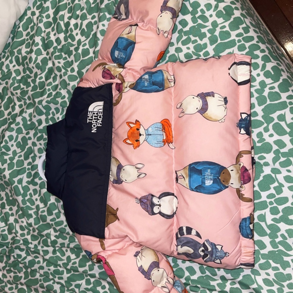 Light Pink North Face Baby Girl Puffer Jacket- Limited Edition Size 2T
